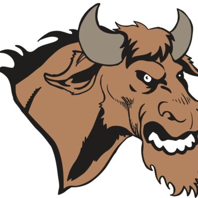 AR5 BULL 09 RQC Thumbnail